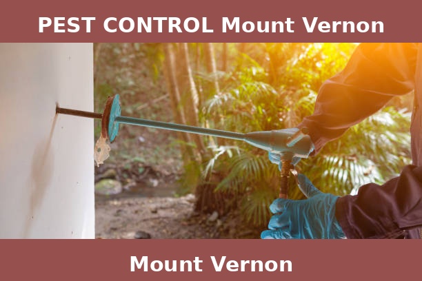 PEST CONTROL Mount Vernon